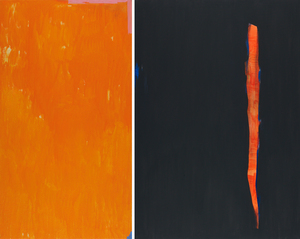 Vidvuds Zviedris (b. 1976)