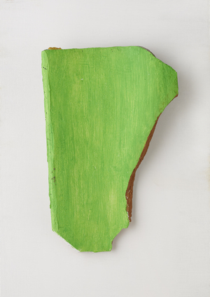 Vidvuds Zviedris (b. 1976)